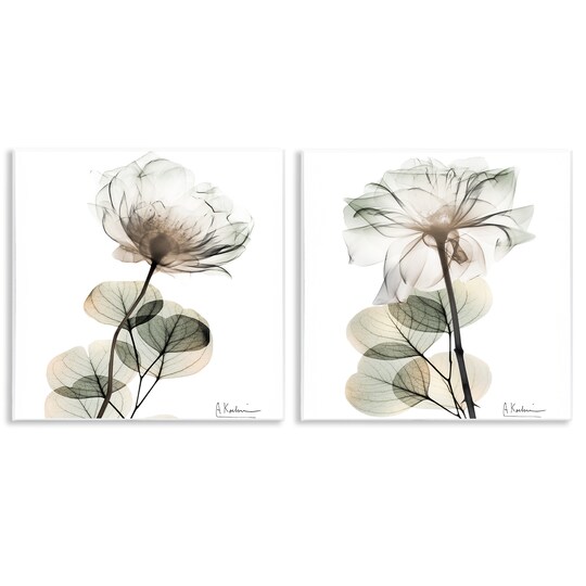 Stupell Industries Cream Transparent Floral 2pc Wall Plaque Set Design by Albert Koetsier